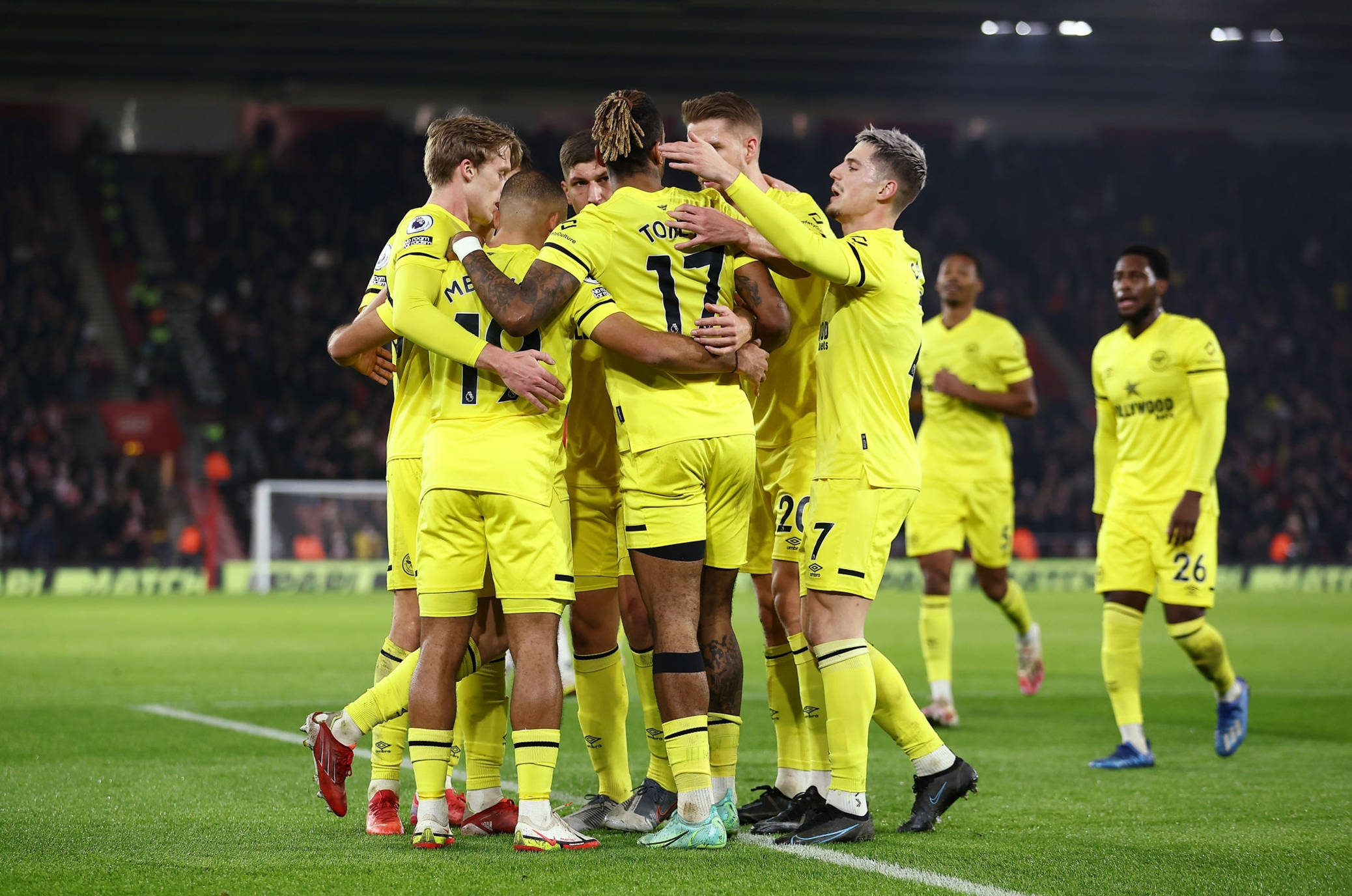 了游客的体 了游客的体